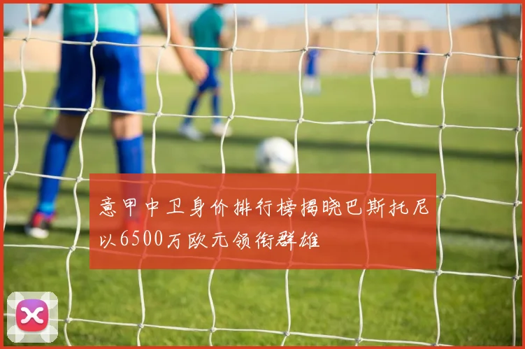 意甲中卫身价排行榜揭晓巴斯托尼以6500万欧元领衔群雄