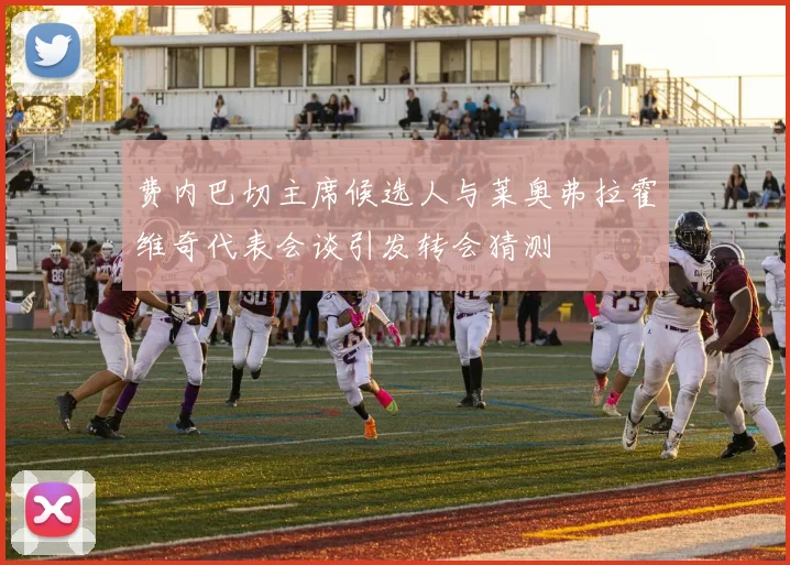 费内巴切主席候选人与莱奥弗拉霍维奇代表会谈引发转会猜测